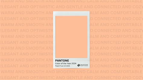 Peach Fuzz The Softness And Versatility Of Pantones Color Of The Year