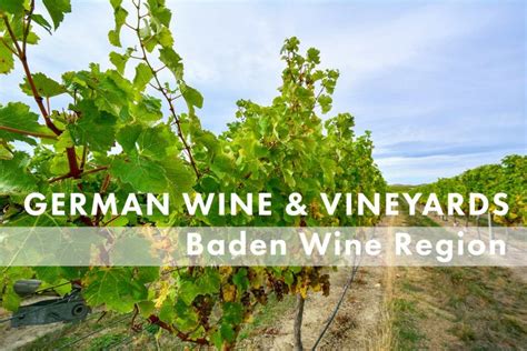 Baden Wine Region — German Wine and Vineyards | Travel1000Places ...