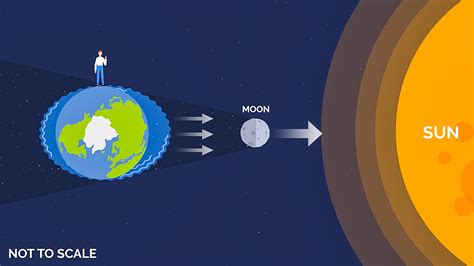 Gravity Force Diagram