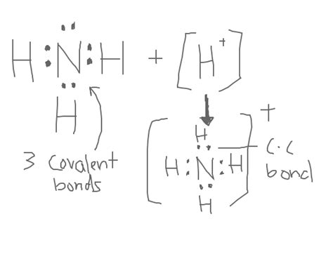 Do Ammonium Ions Contain Coordinate Covalent Bonds Naked Science Forum