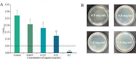 Figure From Antibacterial Effect Of Eugenol On Shigella Flexneri And