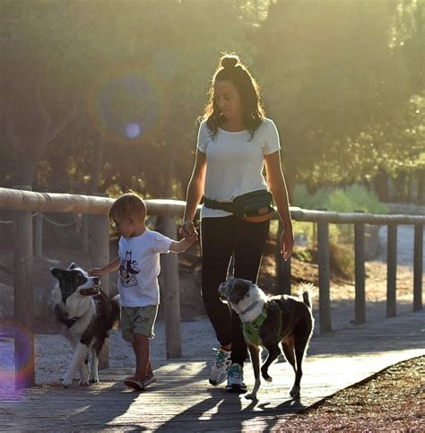 A Mi Perro No Le Gustan Los Ni Os Creciendo Entre Perros