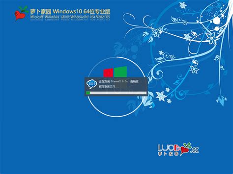 萝卜家园win10 64位专业版下载萝卜家园win10专业版最新免费v202105当客下载站