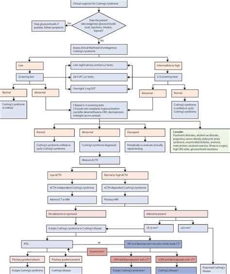 Consensus On Diagnosis And Management Of Cushings Disease A Guideline