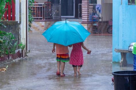 Premium Photo Rear View Of Women With Umbrella Walking In Rain