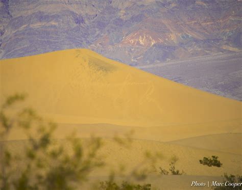 Free Images Landscape Sand Sky Sunset Desert Valley Panorama