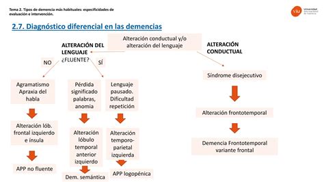 Resumen Tipos De Demencia En Personas Mayores Ppt