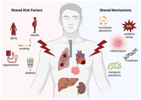 Cancers Free Full Text Multifactorial Diseases Of The Heart