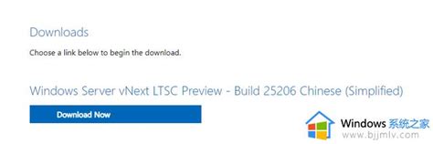 微软 Windows Server Ltsc 预览版 25217 的 Iso 镜像开放下载微软资讯 Windows系统之家