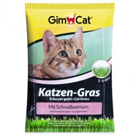 Gimcat Katzen Gras