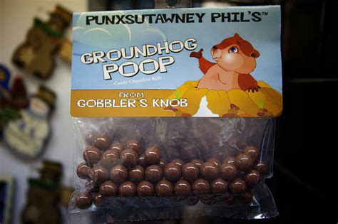 Pin By Lisa Straitiff On Punxsutawney Groundhog Day Groundhog Wacky