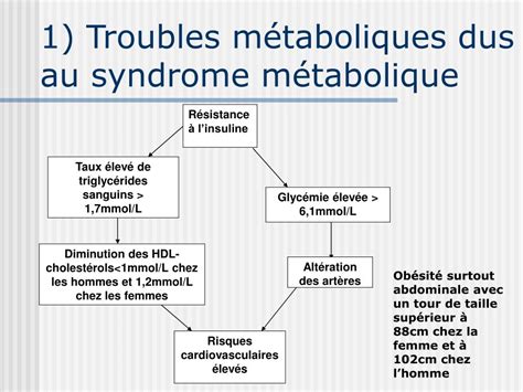 PPT Le syndrome métabolique et ses altérations épigénétiques liées à