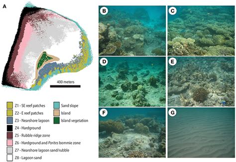 Frontiers Reef Habitat Type And Spatial Extent As Interacting