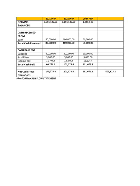 Pro Forma Cash Flow Statement Pdf