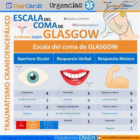 The Spanish Poster Shows Different Types Of Teeth And Their