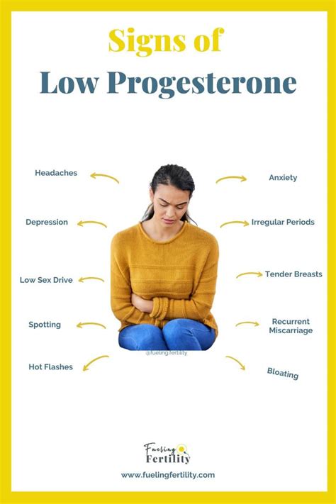 Foods To Increase Progesterone What Does The Evidence Say