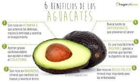 Los Beneficios De Comer Aguacate Aguacate Salud Comefruta