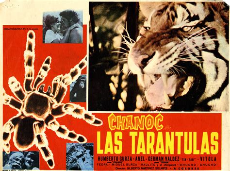 Chanoc En Las Tarantulas MEM Arthropod Movie Posters And Memorabilia