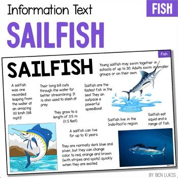 sailfish animal information fact sheet habitat diet features size