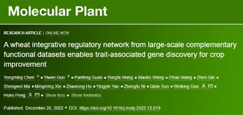 中国农业大学农学院 学术科研 Mol Plant 中国农大小麦研究中心在小麦调控网络领域取得新进展