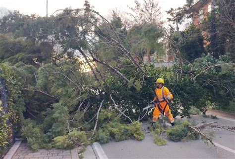 Raffiche Di Vento Trenta Interventi In 4 Ore