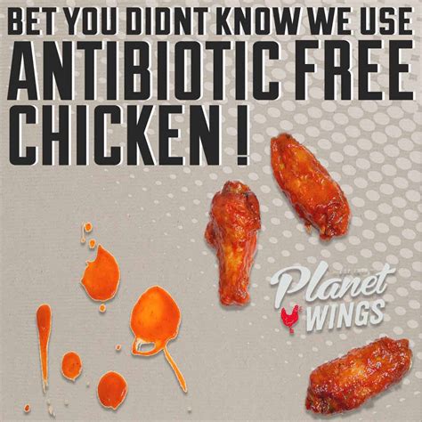 Planet Wings