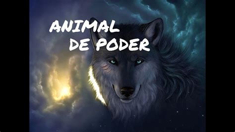 Animal De Poder O Que É Isso Entendendo O Xamanismo Youtube