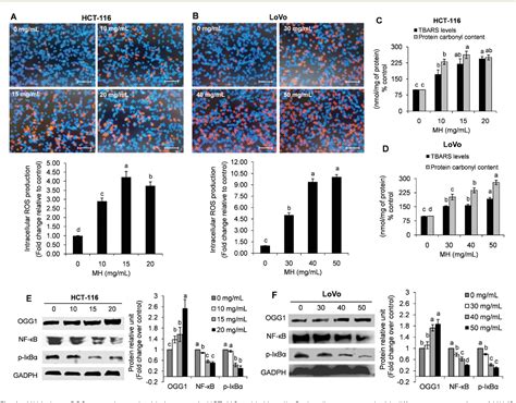 Figure From The Inhibitory Effect Of Manuka Honey On Human Colon