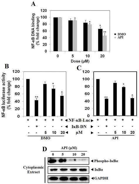 A Api And Dmo Suppresses Nf κb Dna Binding Ability In Hct116 Cells Download Scientific