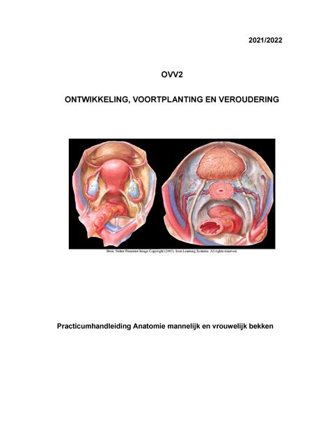 Anatomie Practicum Handleiding Anatomie Mannelijk En Vrouwelijk Bekken