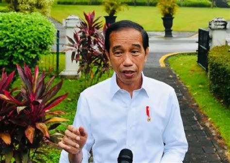 Jokowi Optimis Pembangunan Ikn Berjalan Lancar