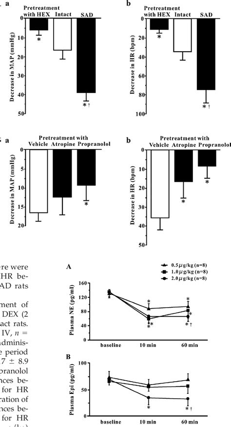 Figure 3 From The Effects Of Centrally Administered Dexmedetomidine On