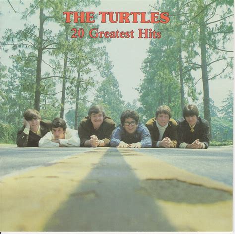 The Turtles 20 Greatest Hits Cd Discogs