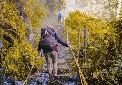 Basarnas Temukan 16 Peziarah Gunung Pangrango Yang Tersesat Teropong