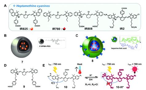 A Molecular Structures Of The Heptamethine Cyanines IR825 IR780