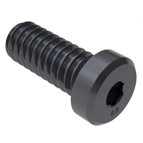 Hardware Specialty M X Mm Long Low Head Socket Cap Screw