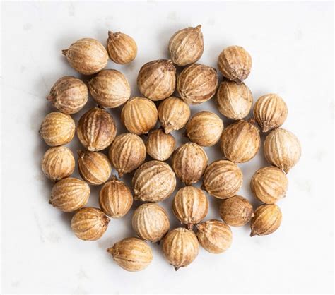 Coriandrum Sativum Extract (Coriandrum sativum) - Naturmed Scientific