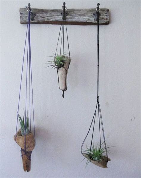 Unique Driftwood Airplant Display Ideas On Wall Hanging Plants