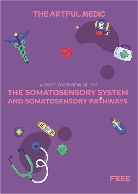 Somatosensory Pathways Explained