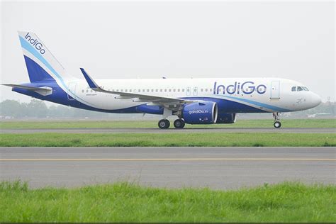 Indigo Airlines For Women Travellers Indigo Introduces New Feature