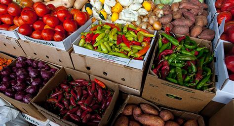 Alto Minho CIM consensualiza autorização de mercados de produtos