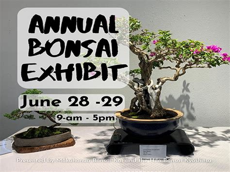 Annual Bonsai Exhibit Go Hawaii