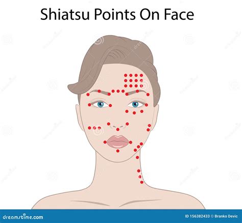 Technique De Massage Facial Et Points Shiatsu Illustration Vectorielle