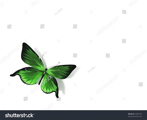 Butterfly Stock Illustration 43682155 Shutterstock