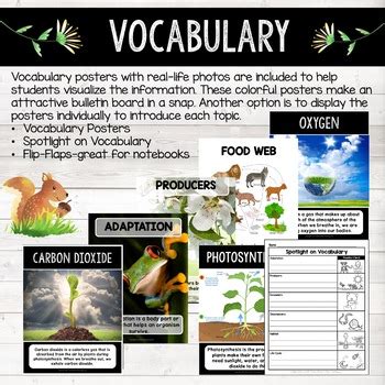 Ecosystems Vocabulary Posters Bulletin Board Posters Word Wall Tpt