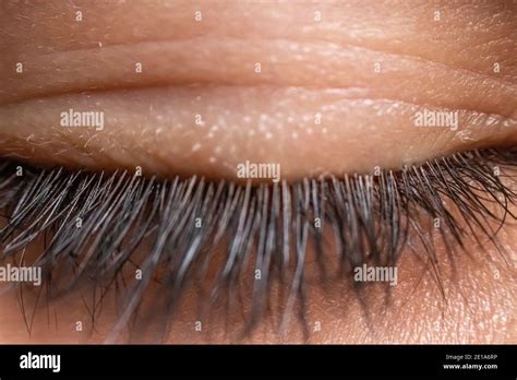 Closed Eye Hi Res Stock Photography And Images Alamy