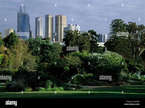 Australia, Melbourne. View of Melbourne skyline from Royal Botanical Gardens (89 acres Stock ...