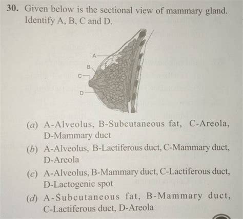 Given Below Is The Sectional View Of Mammary Gland Identify A B C And