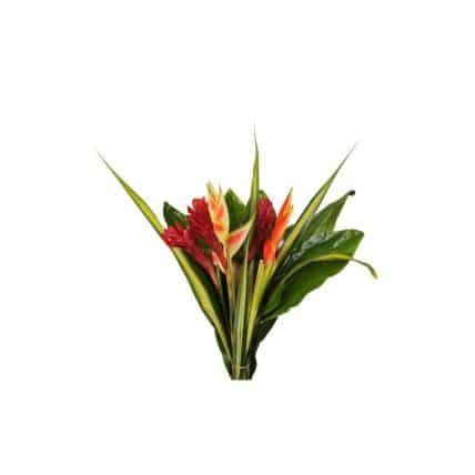 15 Tropical Flower Bouquets #5 - buy wholesale flowers - JR Roses