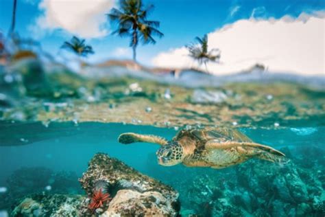 The Warmest Places In The Us In February Where To Go Dang Travelers